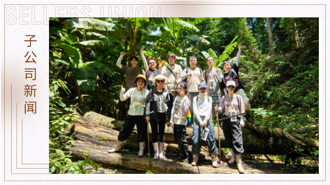 探雨林秘境，与森林同呼吸——记优景公司年中西双版纳团建旅游